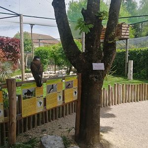 South American aviary