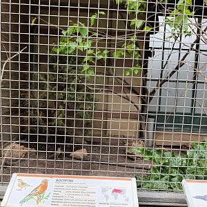 Native Pheasantary Aviary