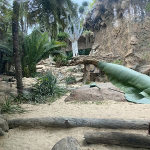 Lion exhibit