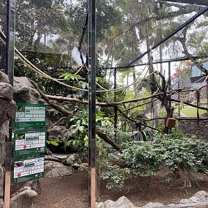 Exhibit for small (new world) primates