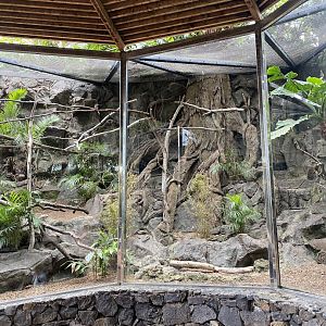 Exhibit for small (new world) primates