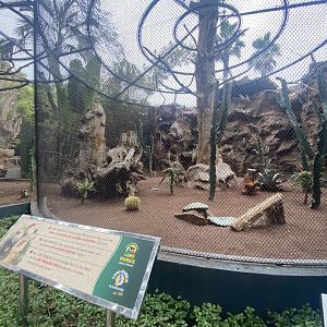 Large Cockatoo aviary