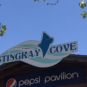 Stingray Cove