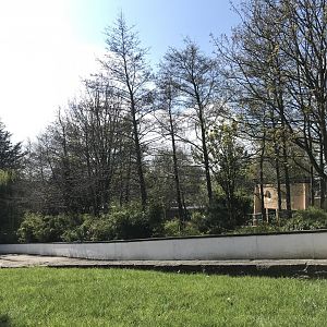 Former bush dog/warty pig enclosure