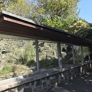 Former penguin/ baer’s pochard enclosure