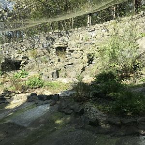 Former penguin/ baer’s pochard enclosure