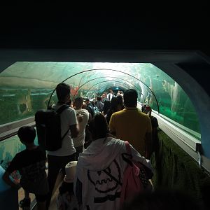 Crowded Tunnel