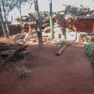 Wombat and Rock Wallaby enclosures