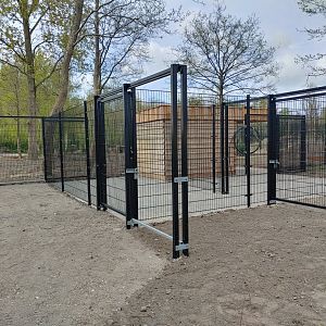 The separation for the Père David's deer