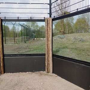 Glass viewing point of the tiger enclosure