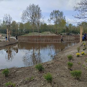 Rope bridge over the water