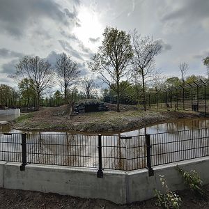 Left tiger enclosure - Cave