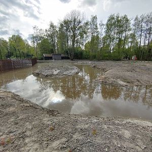 Future gibbon enclosure
