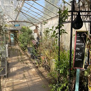 Cutteslowe Park Aviary - Dry Zone View