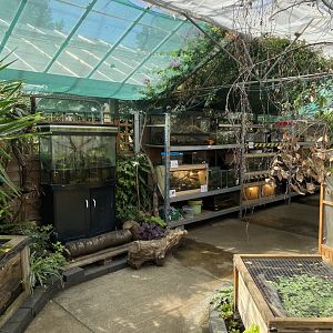 Cutteslowe Park Aviary - Dry Zone Enclosures
