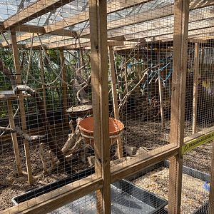 Cutteslowe Park Aviary - Large Enclosure
