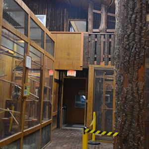 Interior of Tropical House