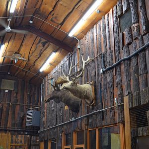 Tropical House Interior