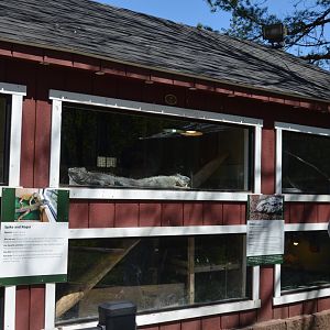 Reptile Barn