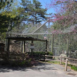 Spider Monkey Habitat