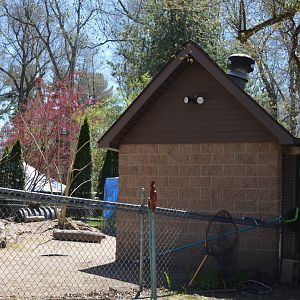 American Alligator Area