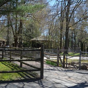 American Alligator Area