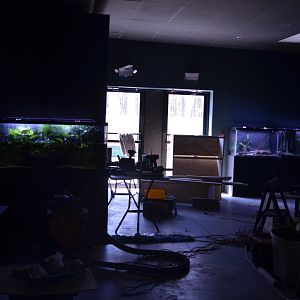 Progress on Amphibian Area