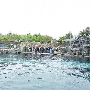 Playa Patagonia, April 2022