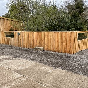 New North American Porcupine Enclosure