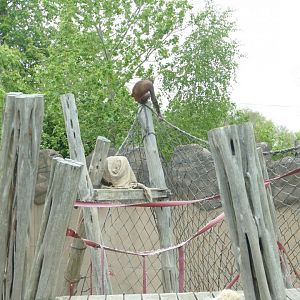 Pole with a view? April 2022