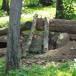 Arctic wolf dens, 2021-08-15