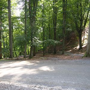 Part of the Alpine chamois area with main road, 2021-08-15