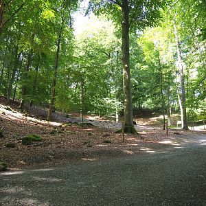 Part of the Alpine chamois area, 2021-08-15