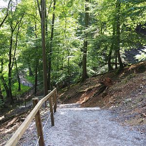 Wildlife park trail with stairs heading down to the Lesse Valley through ravine forest, 2021-08-15