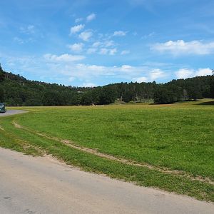 Large mixed paddock in the Lesse Valley and lower part of the wildlife park, 2021-08-15