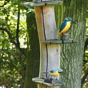 Wood carvings of small bird species associated with flowing creeks, 2021-08-15