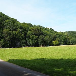 Large mixed paddock in the Lesse Valley and lower part of the wildlife park, 2021-08-15