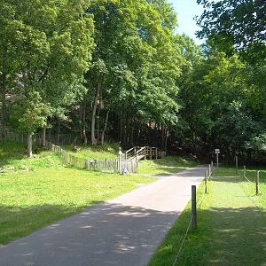 Walkway to the vulture exhibit, 2021-08-15