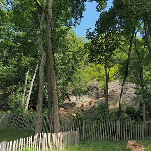 Rock face exhibit for non-flighted Western Eurasian griffon vulture, 2021-08-15