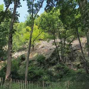 Rock face exhibit for non-flighted Western Eurasian griffon vulture, 2021-08-15