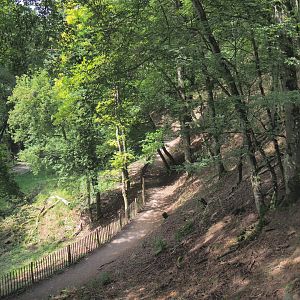 Wildlife park trail near the vulture exhibit, 2021-08-15