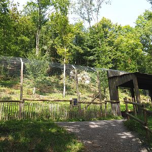 Second Eurasian lynx exhibit, walkway and viewing area, 2021-08-15