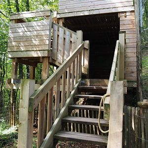 Second Eurasian lynx exhibit viewing tower, 2021-08-15