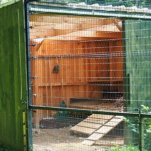European white stork barn, 2021-08-15