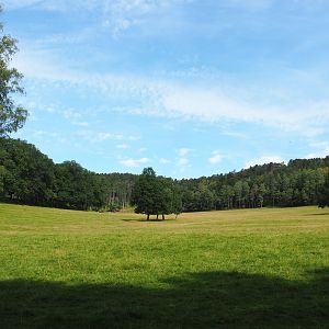 Large mixed paddock in the Lesse Valley and lower part of the wildlife park, 2021-08-15