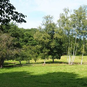 Large mixed paddock in the Lesse Valley and lower part of the wildlife park, 2021-08-15