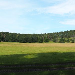Large mixed paddock in the Lesse Valley and lower part of the wildlife park, 2021-08-15