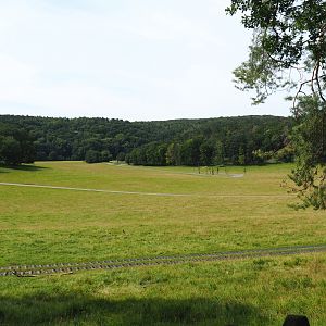 Large mixed paddock in the Lesse Valley and lower part of the wildlife park, 2021-08-15