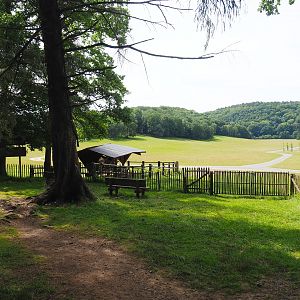 Wildlife park trail and large mixed paddock in the Lesse Valley and lower part of the wildlife park, 2021-08-15