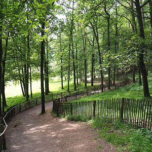 Wildlife park trail through forested area, 2021-08-15